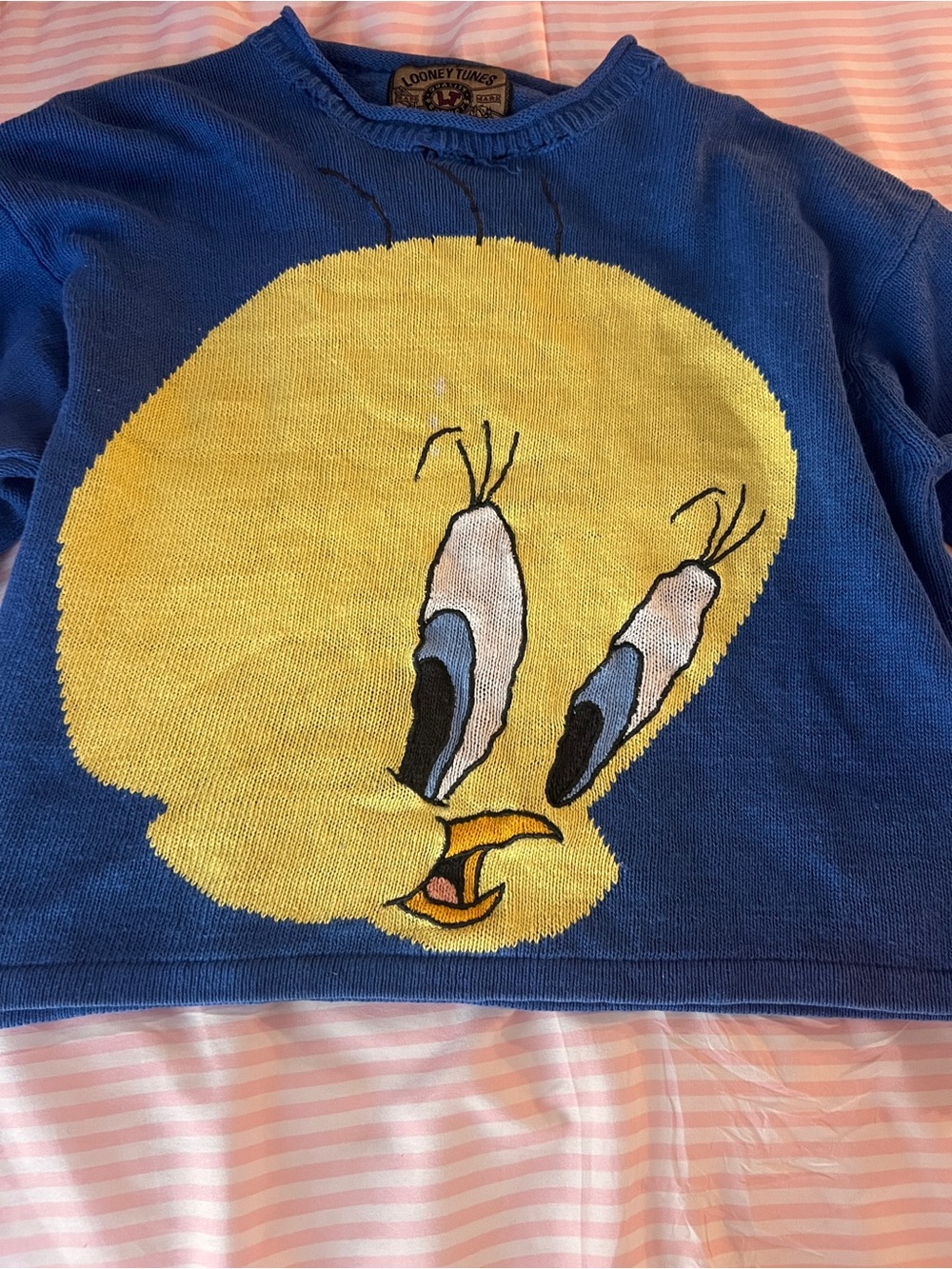 Warner Bros. Kids Blue Sweater with Yellow Tweety Face